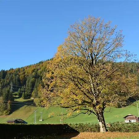 Apartment Oberland Nr- 7 By Interhome Apartment Gstaad